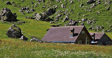 如何實現(xiàn)二氧化碳排放達峰？